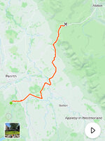 IMG_3806.jpeg