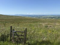 IMG_3804.jpeg