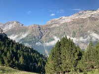 IMG_8261.jpeg