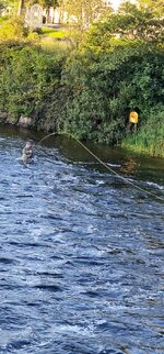 20250708_211239.jpg