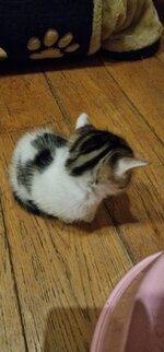 20250711_005059.jpg