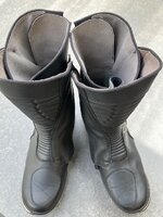 IMG_0810.jpeg