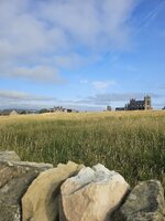 20250713_081432.jpg 20250713_081432.jpg