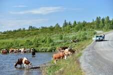 DSC_7205.JPG