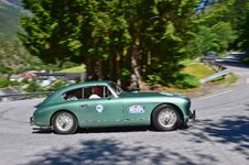 DSC_7018.jpg