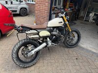IMG_2383.jpeg
