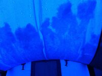 IMG_0440.jpeg