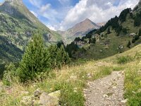 IMG_8274.jpeg