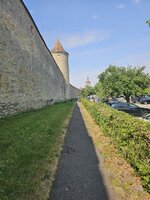 20250715_104036.jpg