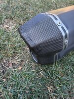 IMG_2995.jpeg