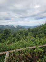 20250716_092527.jpg