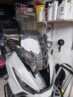IMG_7882.jpeg