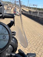 IMG_0237.jpeg