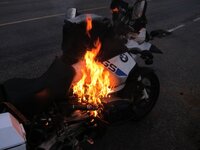 IMG_1517.jpeg IMG_1517.jpeg