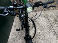 IMG_7991.jpeg