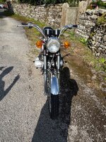 IMG_1536.jpeg