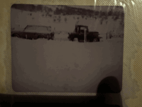 tempImageZJbN4l.gif