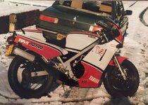 IMG_6333.jpeg