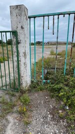IMG_4668.jpeg