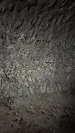 IMG_4698.jpeg