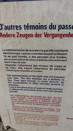 IMG_4699.jpeg