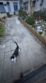 IMG_4630.jpeg IMG_4630.jpeg
