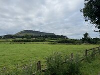 IMG_8170.jpeg