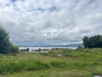 IMG_8175.jpeg