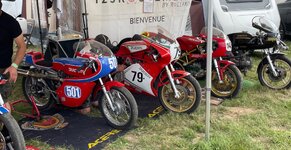 IMG_6550.jpeg