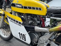 IMG_6558.jpeg