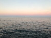 IMG_2898.jpeg
