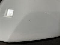 IMG_1289.jpeg