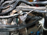 IMG_0926 (Medium).JPG