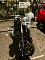 IMG_7561.jpeg