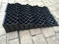 IMG_0949.jpeg