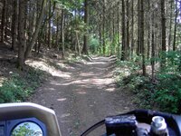 PICT1038 (Small).JPG