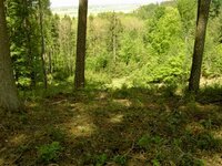 PICT1070 (Small).JPG