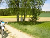 PICT1062 (Small).JPG