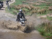 IMGP1588 (Small).JPG