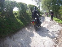 IMGP1585 (Small).JPG