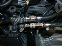 DSCN0825.jpg