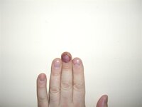 CIMG0112 (Small).JPG