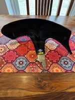 IMG_3245.jpeg