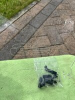 IMG_8050.jpeg