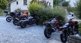 IMG_3597.jpeg IMG_3597.jpeg
