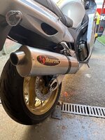 IMG_6929.jpeg