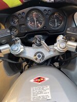 IMG_6917.jpeg