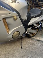 IMG_6923.jpeg