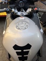 IMG_6919.jpeg