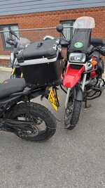 IMG_4750.jpeg IMG_4750.jpeg
